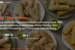Skylark Group